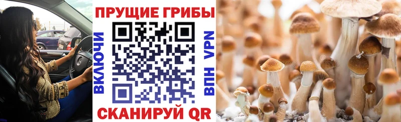 Галлюциногенные грибы Magic Shrooms Сольвычегодск